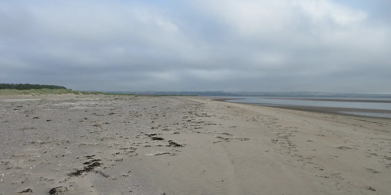La lunga spiaggia dorata della Riserva Naturale Tentsmuir